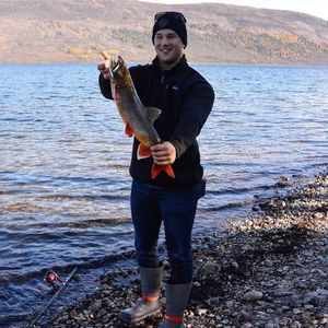 Meet your Posher, Alex